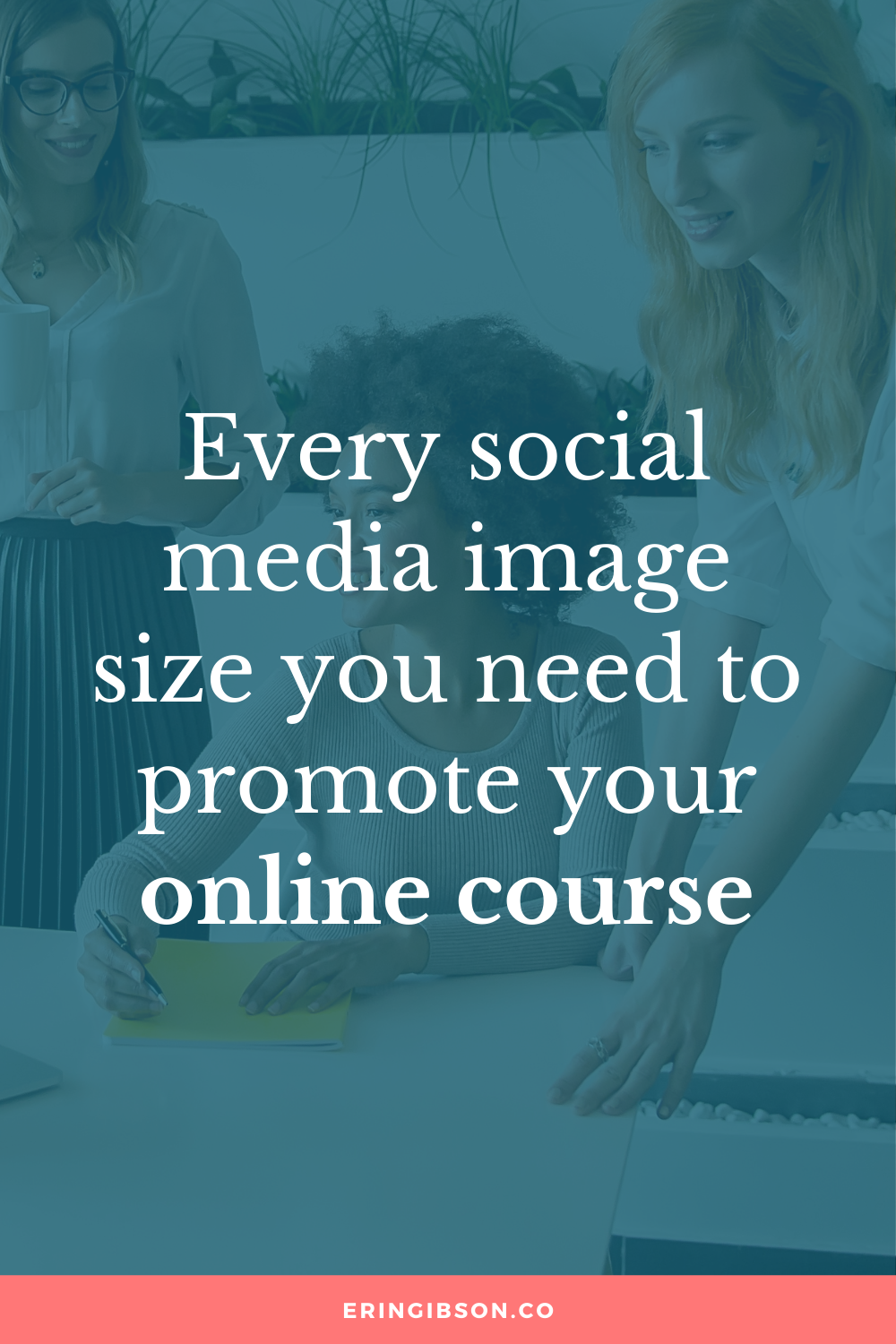 Every social media image size you need to promote your course in 2022